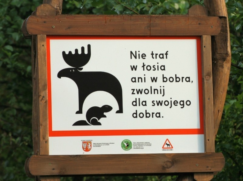 Znaki drogowe 😜